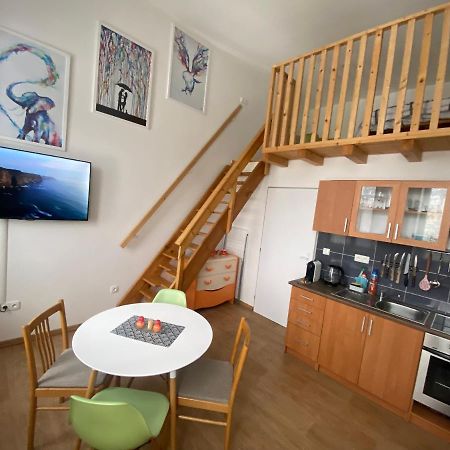 Apartman V Lesni ヤブロネツ・ナド・ニソウ エクステリア 写真