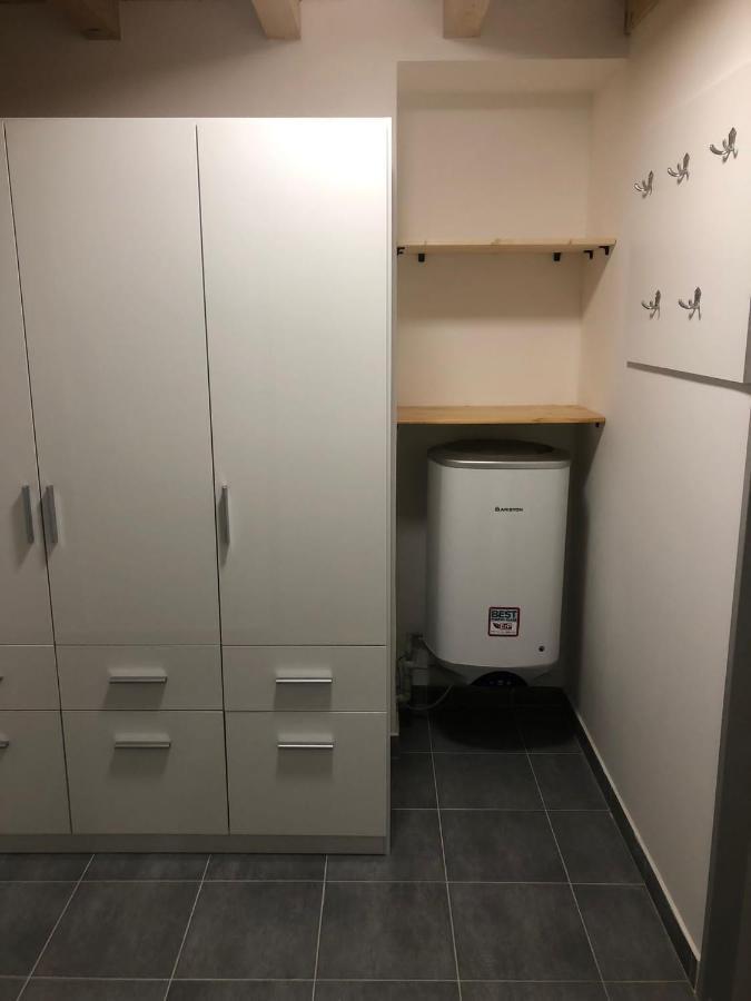 Apartman V Lesni ヤブロネツ・ナド・ニソウ エクステリア 写真